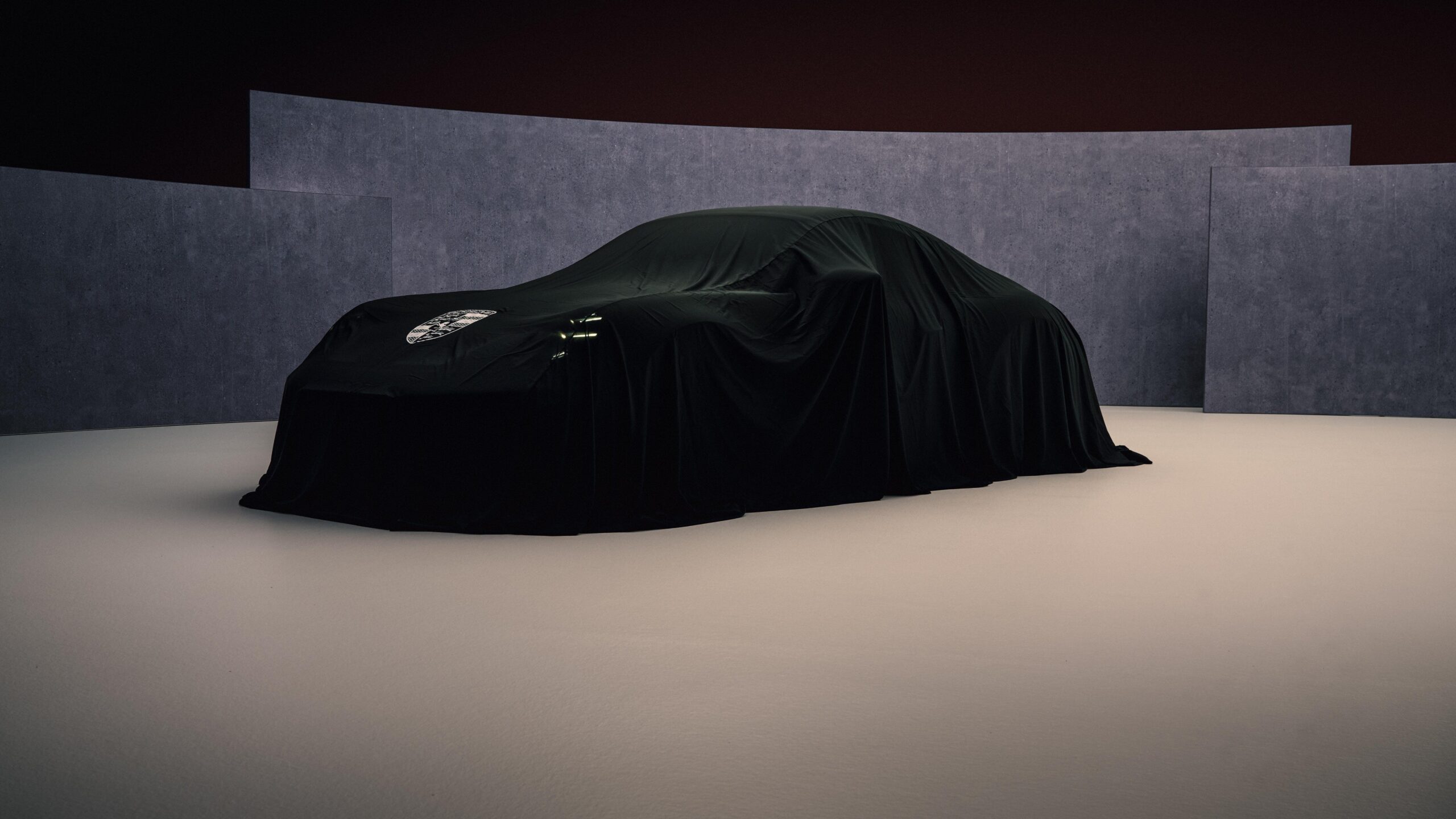Porsche 911 (Mystery Variant)